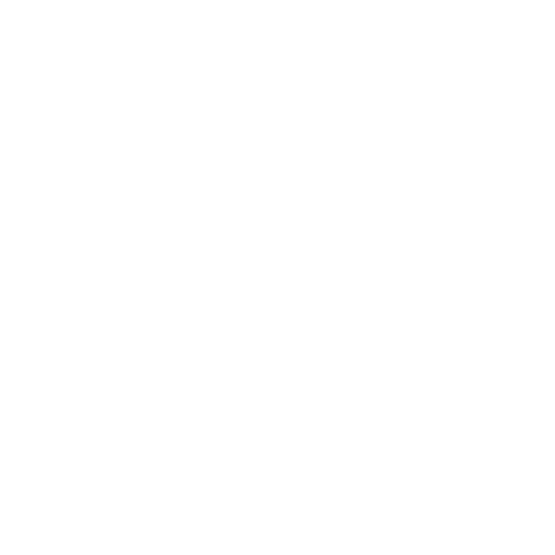 Puhdastiimi logo valkoinen